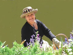 Anita C. Lee